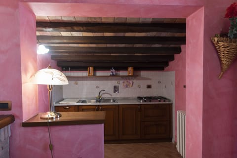 Panoramic Apartment, Non Smoking, Garden View | Private kitchen