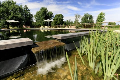 Seasonal outdoor pool, pool umbrellas, sun loungers
