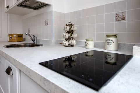 Basic Apartment | Private kitchenette | Fridge, stovetop, electric kettle, cookware/dishes/utensils