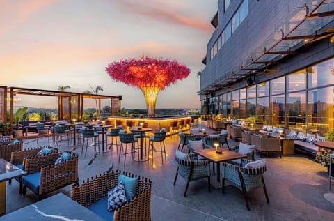 Rooftop terrace
