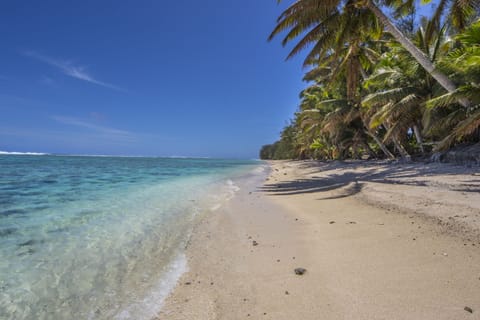 Beach nearby, white sand, snorkeling, kayaking