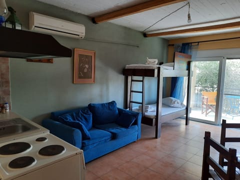 2 Adults One-Bedroom Apartment | Living area | TV, fireplace