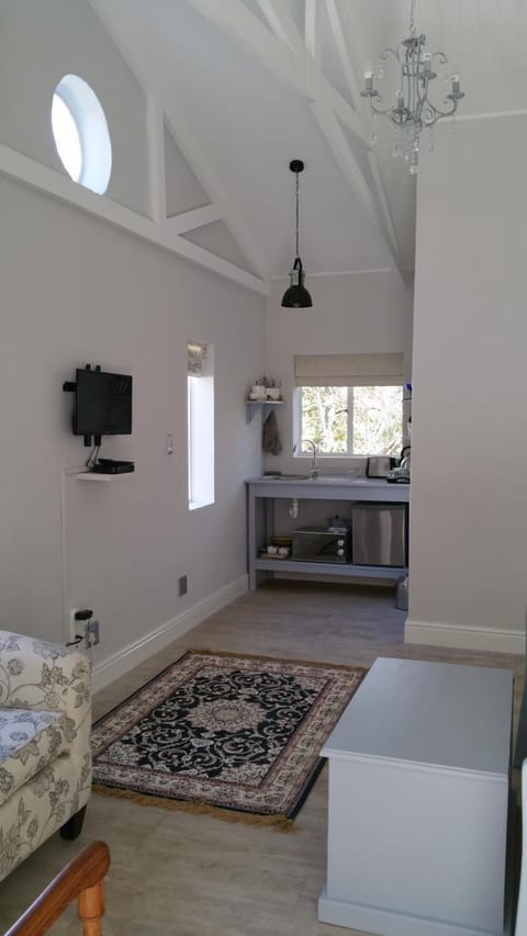 22-inch flat-screen TV with premium channels, TV