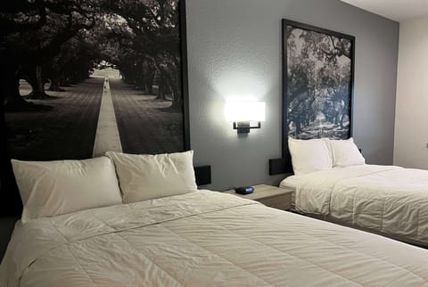 Double Room | Premium bedding, individually decorated, individually furnished, desk