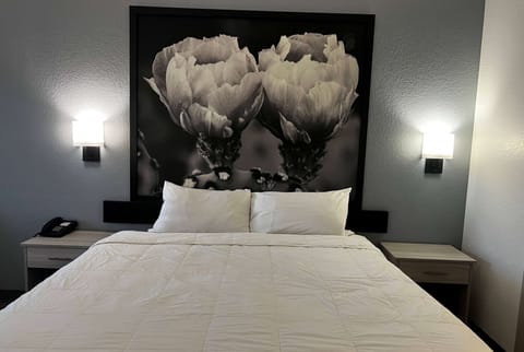 Premium bedding, individually decorated, individually furnished, desk