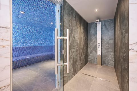 Sauna, hot tub, steam room