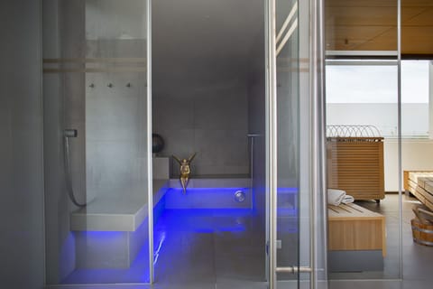 Sauna, steam room, sports massages, 1 treatment room, massages