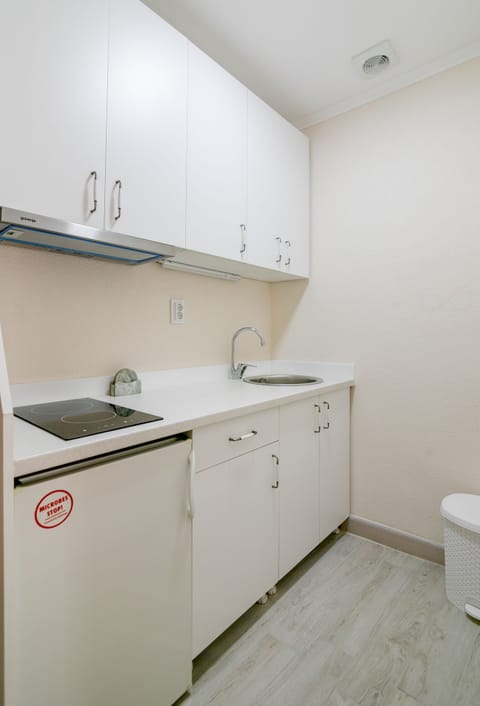 Deluxe Apartment, Accessible | Private kitchenette | Fridge, stovetop, electric kettle, cookware/dishes/utensils