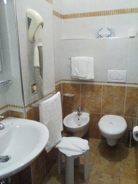 Hair dryer, bidet, towels