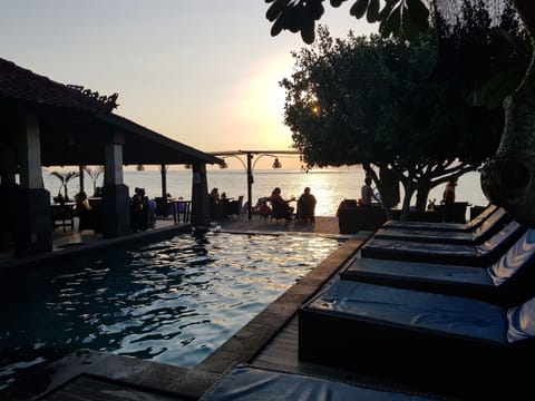 Outdoor pool, sun loungers