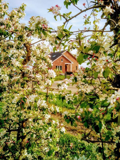 Villa, 4 Bedrooms | 4 bedrooms, down comforters, memory foam beds, individually decorated