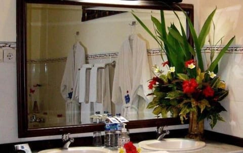 Deluxe Room | Bathroom | Hair dryer, towels