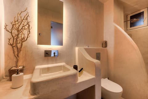 Executive Apartment | Bathroom shower