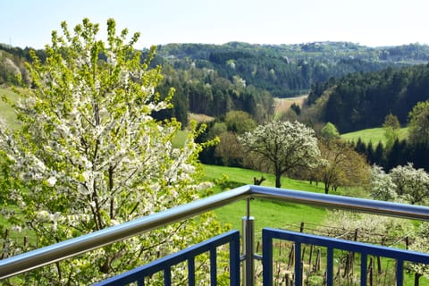 Comfort Double Room, 1 Queen Bed with Sofa bed, Garden View, Garden Area | View from room