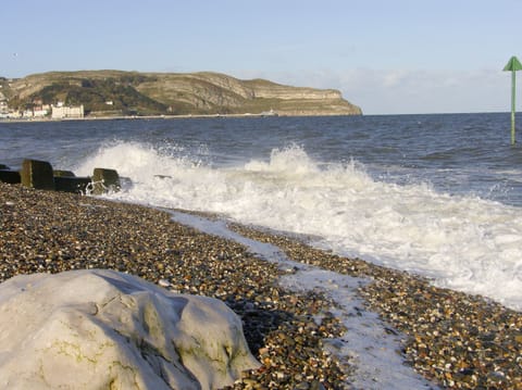 Cottage | Beach | Beach nearby