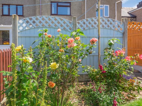 Cottage | Property grounds