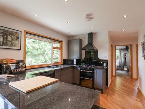 Dishwasher, highchair, cookware/dishes/utensils