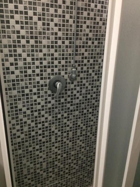 Shower, free toiletries, hair dryer, bidet