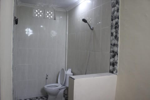 Shower, free toiletries, bidet, towels