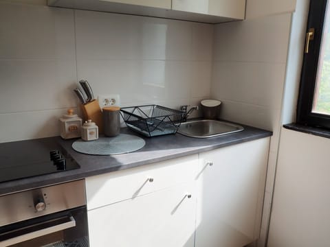 Family Apartment | Private kitchen | Cookware/dishes/utensils