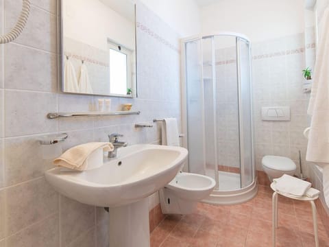 Shower, hair dryer, bidet, towels