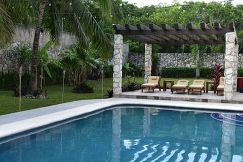 Outdoor pool, sun loungers