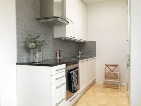 Premium Apartment, 1 Queen Bed, Non Smoking, City View | Private kitchen | Full-size fridge, microwave, oven, stovetop