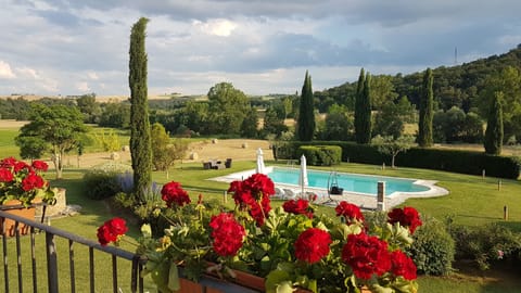 Seasonal outdoor pool, pool umbrellas, sun loungers