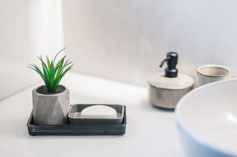 Shower, hair dryer, slippers, towels