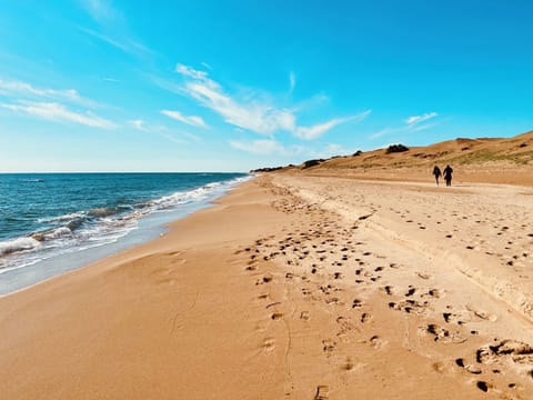 Beach nearby, windsurfing