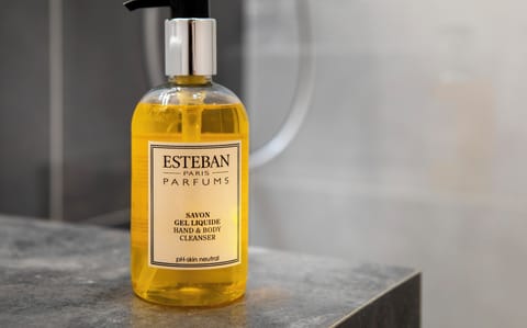 Luxury Twin Room, 2 Twin Beds, Non Smoking, Garden View | Bathroom | Hair dryer, towels, soap, shampoo