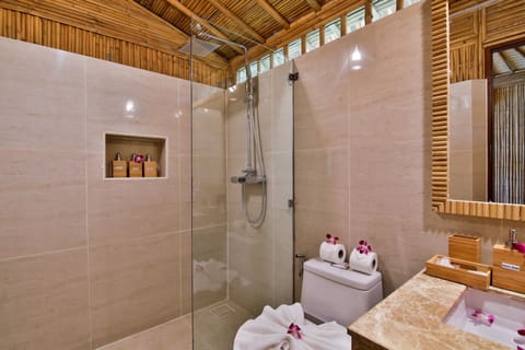 Shower, free toiletries, hair dryer, bathrobes