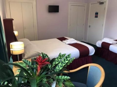 Family Triple Room, Multiple Beds, Garden View | Desk, iron/ironing board, free WiFi, bed sheets