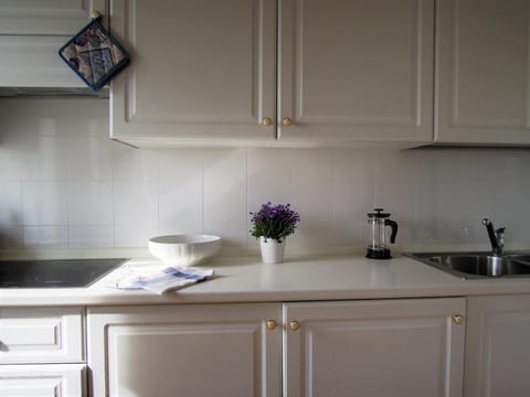 Fridge, stovetop, dishwasher, coffee/tea maker