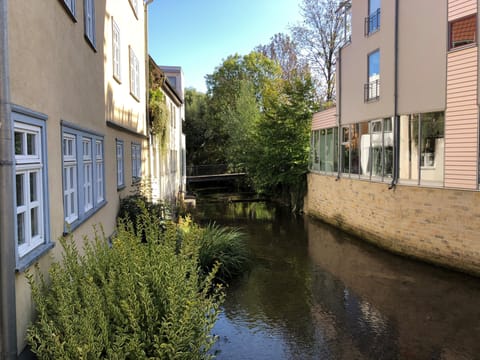 Standard Double Room, Private Bathroom, City View | View from property