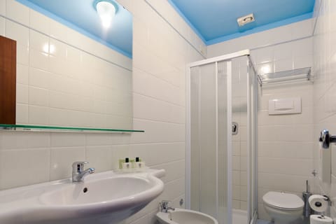 Double or Twin Room, Lake View | Bathroom | Free toiletries, hair dryer, towels