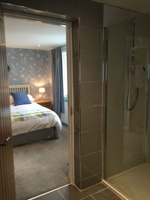 Double Room (Room 4) | Bathroom shower