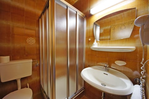 Single Room | Bathroom | Shower, hair dryer, towels
