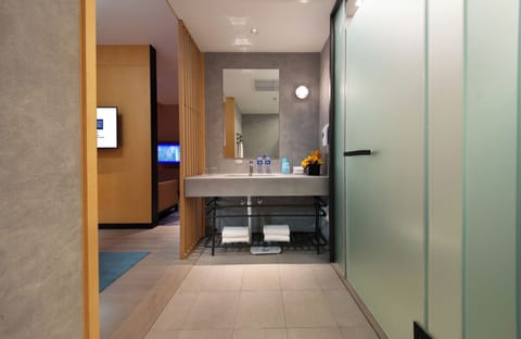 Shower, hydromassage showerhead, free toiletries, hair dryer