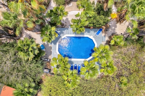 2 outdoor pools, sun loungers