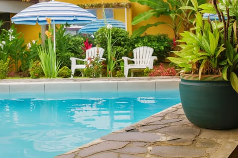Outdoor pool, open 10:00 AM to 8:00 PM, sun loungers