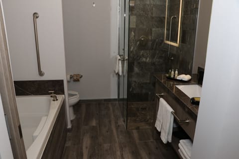 Suite, 1 Queen Bed, City View | Bathroom | Free toiletries, hair dryer, towels, soap