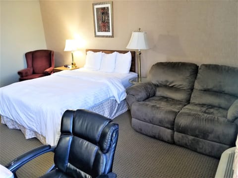 Deluxe Single Room, 1 Queen Bed, Accessible, Refrigerator & Microwave | In-room dining