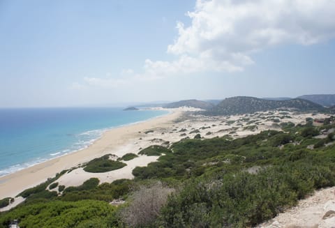 Ecotours