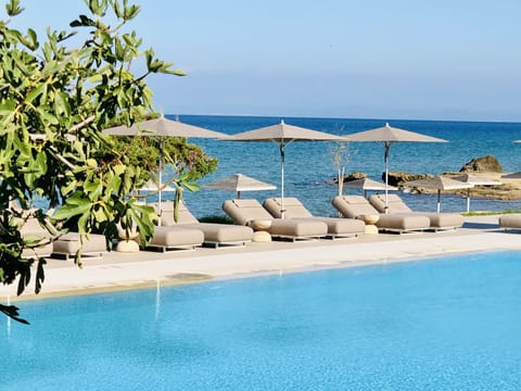 Outdoor pool, pool umbrellas, sun loungers