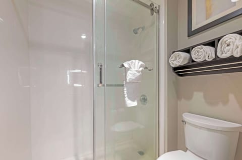 Combined shower/tub, free toiletries, hair dryer, towels