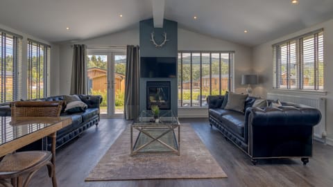 Sybilla, sleep 6, sauna, hot tub, pet friendly | Living area | 45-inch Smart TV with digital channels, TV, fireplace