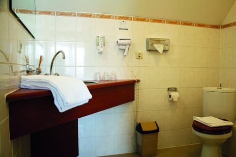 Eco-friendly toiletries, hair dryer, towels