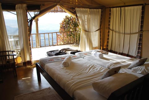Premium bedding, down comforters, individually decorated