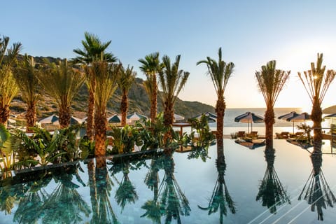 Indoor pool, outdoor pool, pool umbrellas